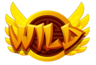 logo COUNTERWIN